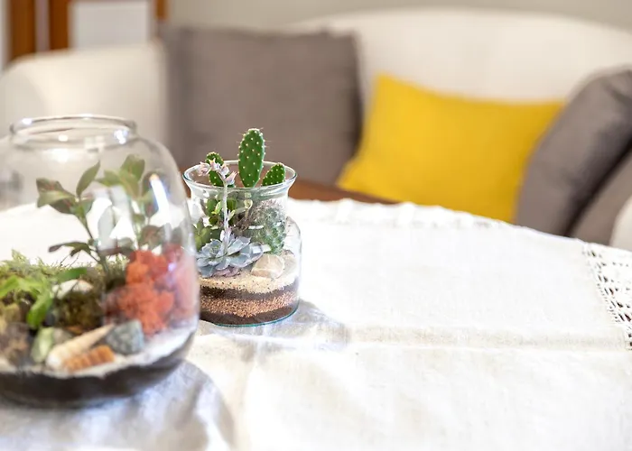 Due Gradini Sopra Il Mare - Per 4 Ospiti 公寓 阿尔盖罗